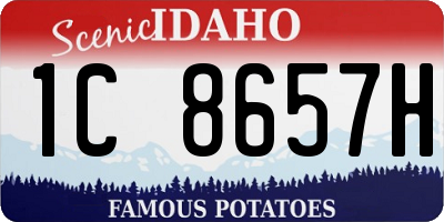 ID license plate 1C8657H