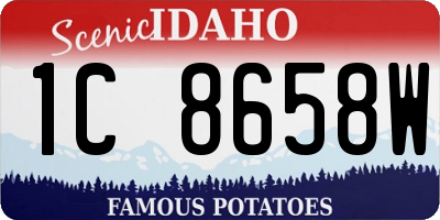ID license plate 1C8658W