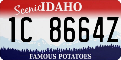 ID license plate 1C8664Z