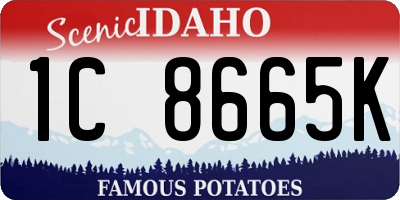 ID license plate 1C8665K