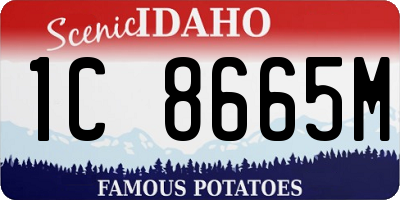 ID license plate 1C8665M