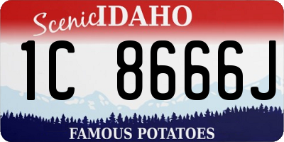 ID license plate 1C8666J
