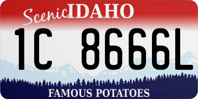 ID license plate 1C8666L