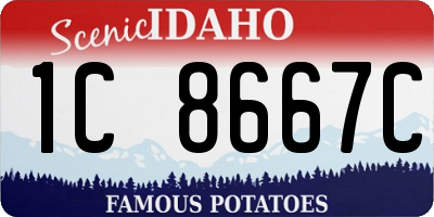 ID license plate 1C8667C