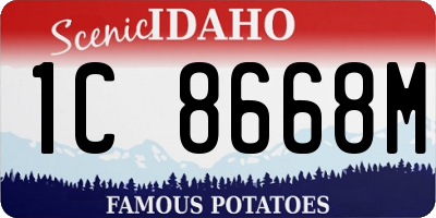 ID license plate 1C8668M