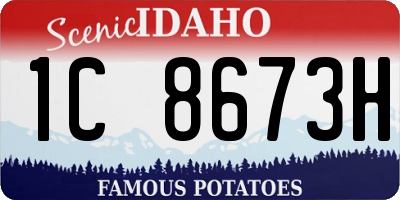 ID license plate 1C8673H