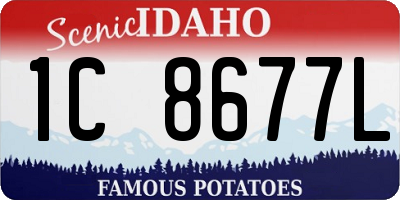 ID license plate 1C8677L