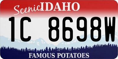 ID license plate 1C8698W