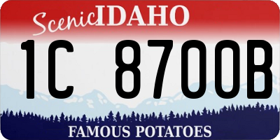 ID license plate 1C8700B