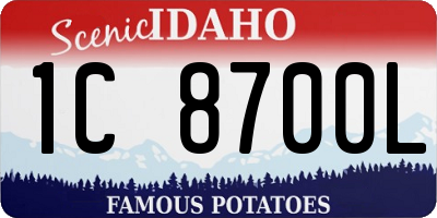 ID license plate 1C8700L