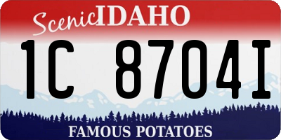 ID license plate 1C8704I