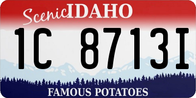 ID license plate 1C8713I