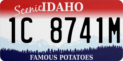 ID license plate 1C8741M