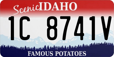 ID license plate 1C8741V