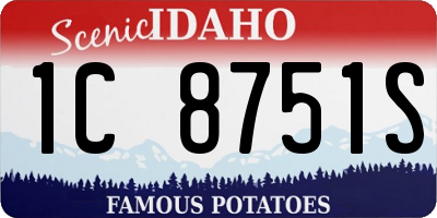 ID license plate 1C8751S