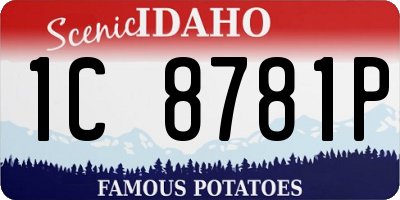 ID license plate 1C8781P