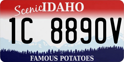 ID license plate 1C8890V