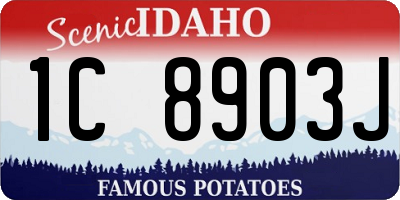 ID license plate 1C8903J