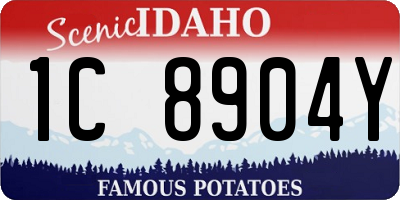 ID license plate 1C8904Y