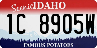 ID license plate 1C8905W