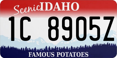 ID license plate 1C8905Z