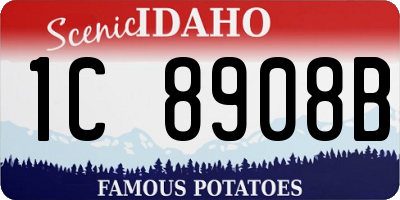 ID license plate 1C8908B