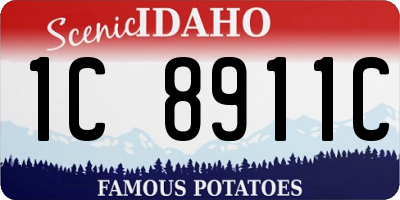 ID license plate 1C8911C