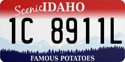 ID license plate 1C8911L