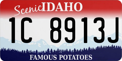 ID license plate 1C8913J