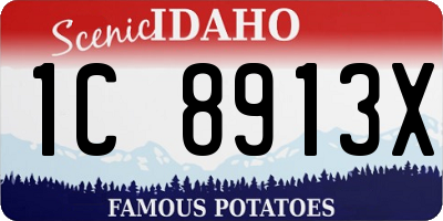 ID license plate 1C8913X