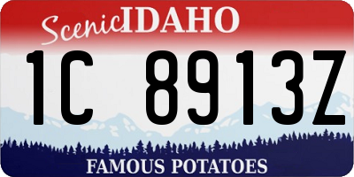 ID license plate 1C8913Z