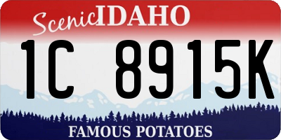 ID license plate 1C8915K