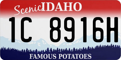 ID license plate 1C8916H