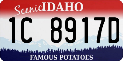 ID license plate 1C8917D