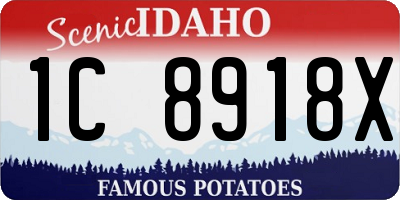 ID license plate 1C8918X
