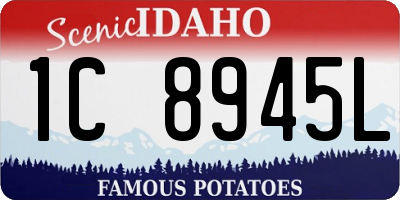 ID license plate 1C8945L