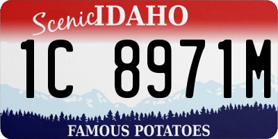 ID license plate 1C8971M
