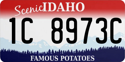ID license plate 1C8973C
