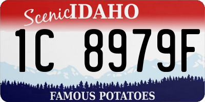 ID license plate 1C8979F
