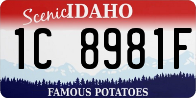 ID license plate 1C8981F