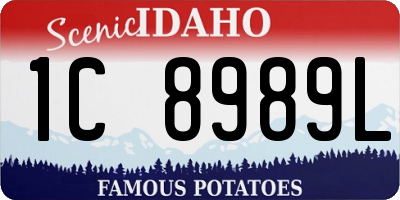 ID license plate 1C8989L