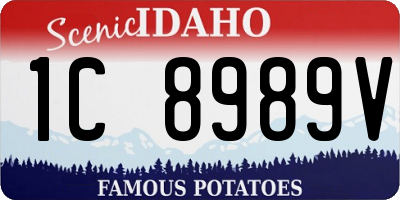 ID license plate 1C8989V