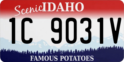 ID license plate 1C9031V