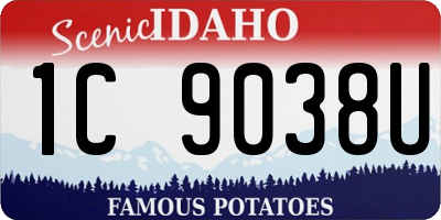 ID license plate 1C9038U