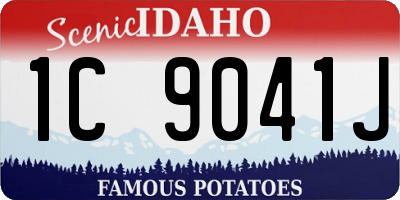 ID license plate 1C9041J