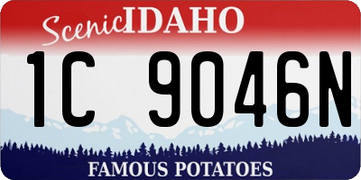 ID license plate 1C9046N