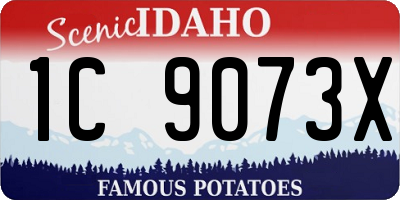 ID license plate 1C9073X