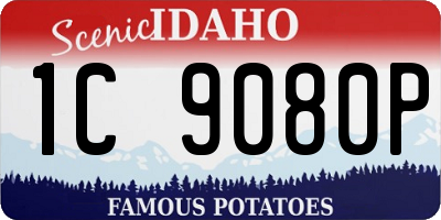 ID license plate 1C9080P