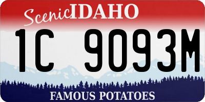 ID license plate 1C9093M