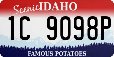 ID license plate 1C9098P